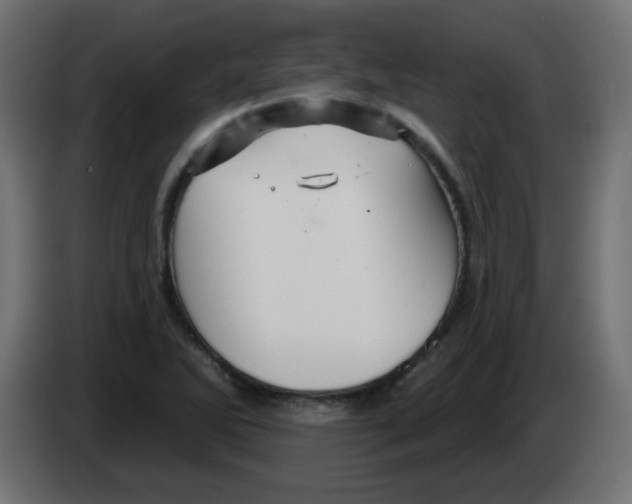 X0000083021270200703021955