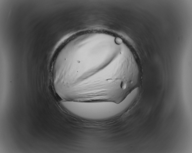 X0000083021271200703021954