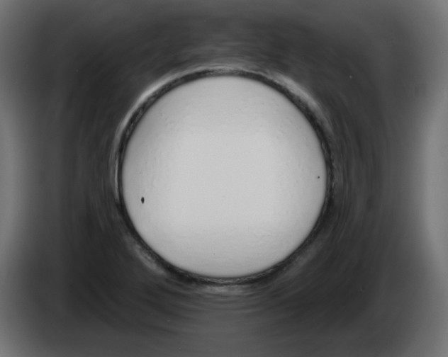 X0000083021272200703021954