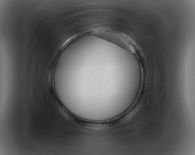 X0000083021273200703021954