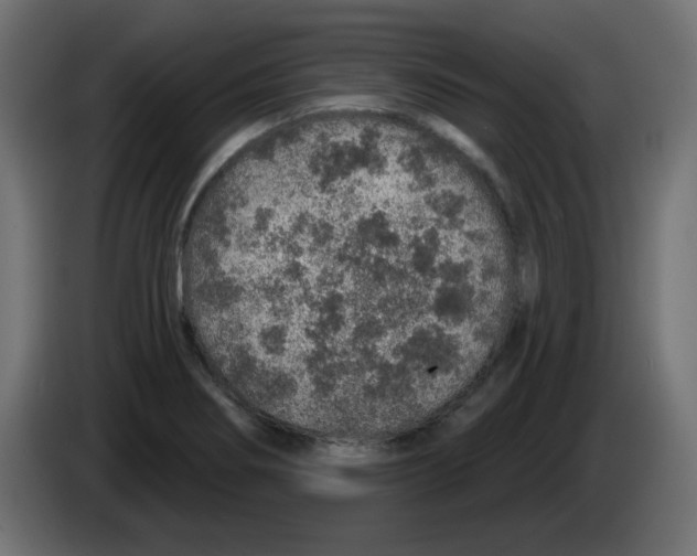 X0000083021274200703021954