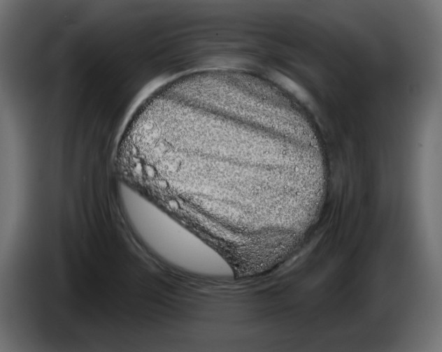 X0000083021275200703021954