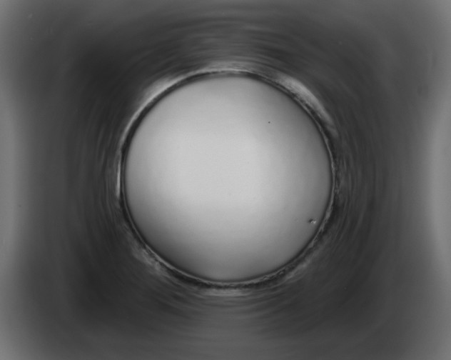 X0000083021276200703021954
