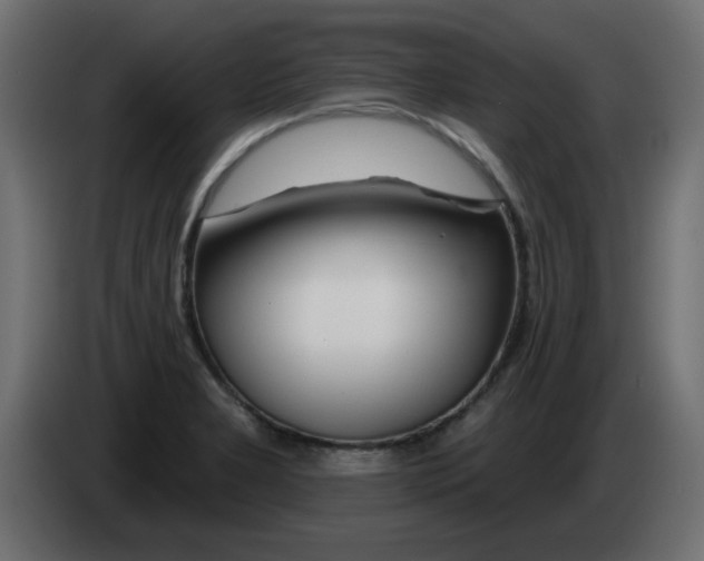 X0000083021277200703021954