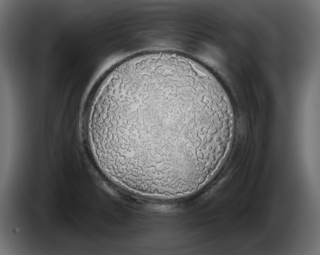 X0000083021278200703021954