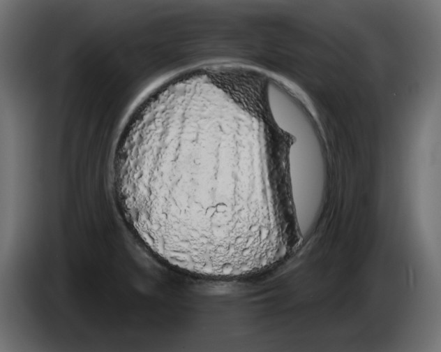 X0000083021279200703021954