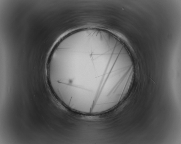 X0000083021280200703021954