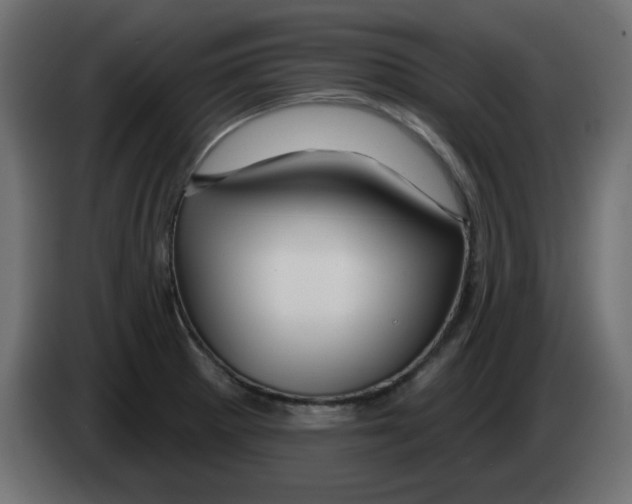 X0000083021281200703021954