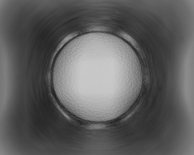 X0000083021282200703021954