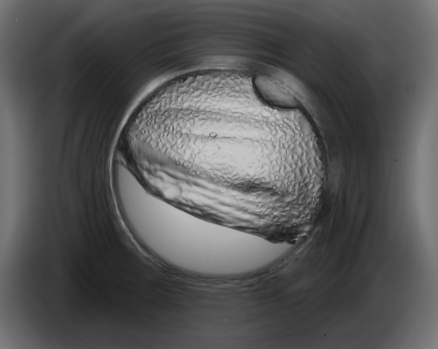 X0000083021283200703021954