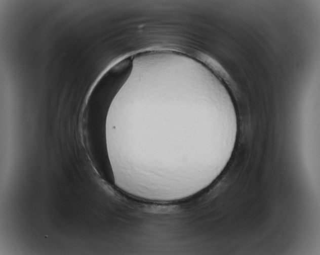 X0000083021284200703021954