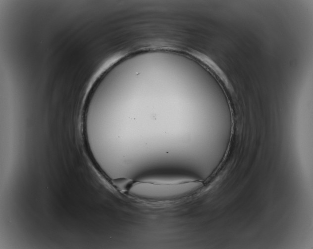 X0000083021285200703021954