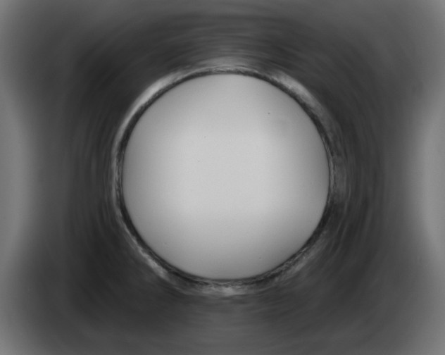 X0000083021286200703021954