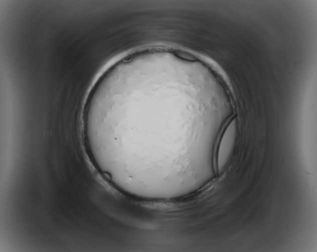 X0000083021287200703021954