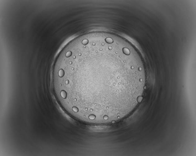 X0000083021290200703021954