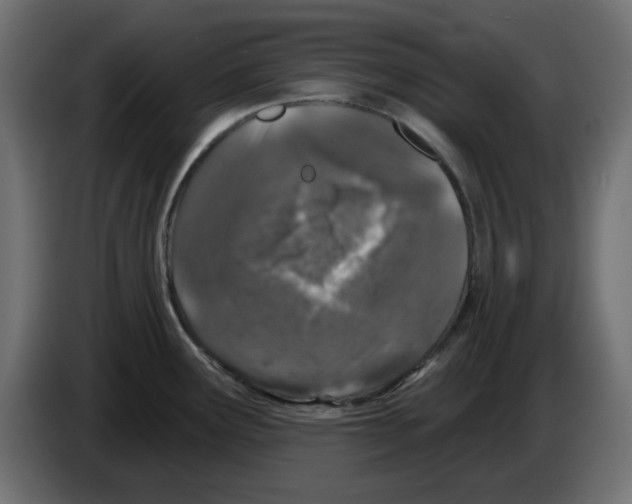 X0000083021291200703021954