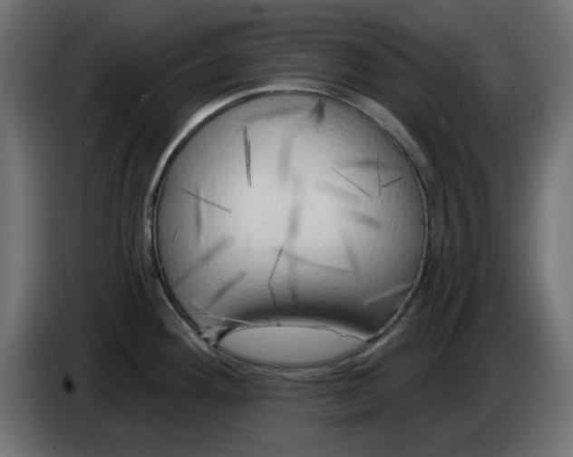 X0000083021292200703021954