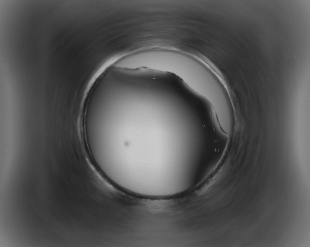X0000083021293200703021954