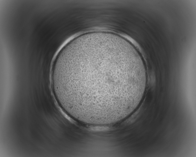 X0000083021294200703021954