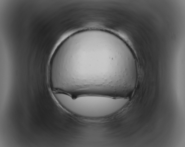 X0000083021295200703021954