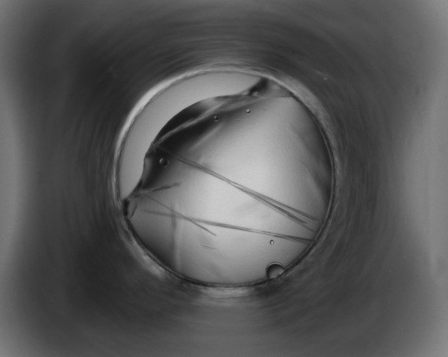 X0000083021296200703021954