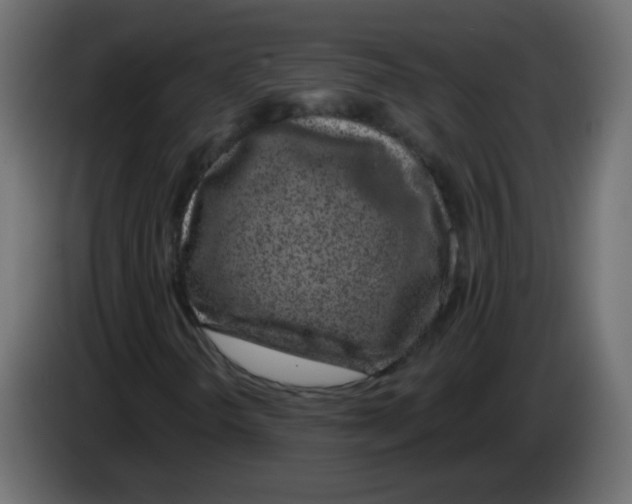 X0000083021298200703021953