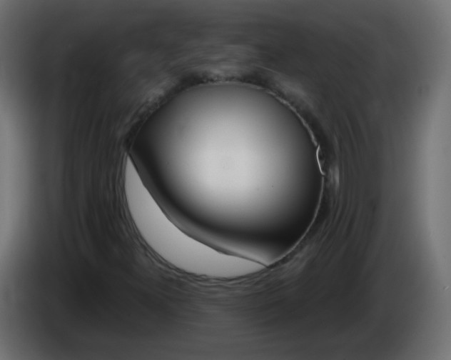 X0000083021300200703021954