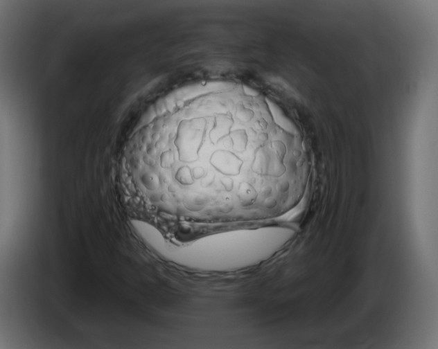X0000083021302200703021954