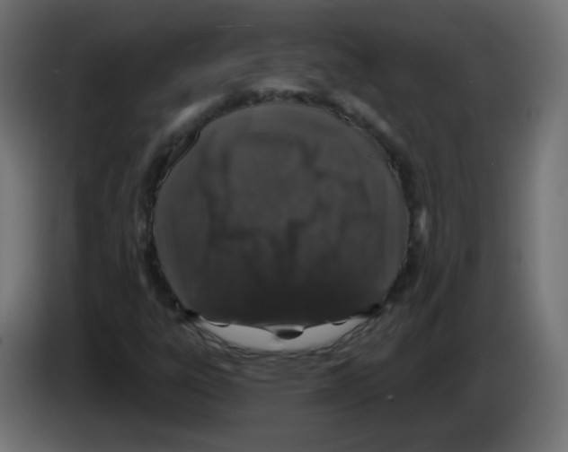 X0000083021303200703021954