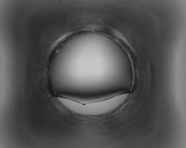 X0000083021304200703021954