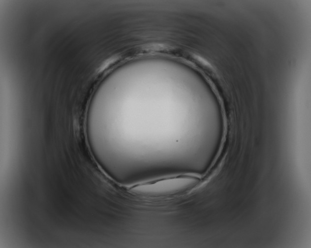 X0000083021305200703021954