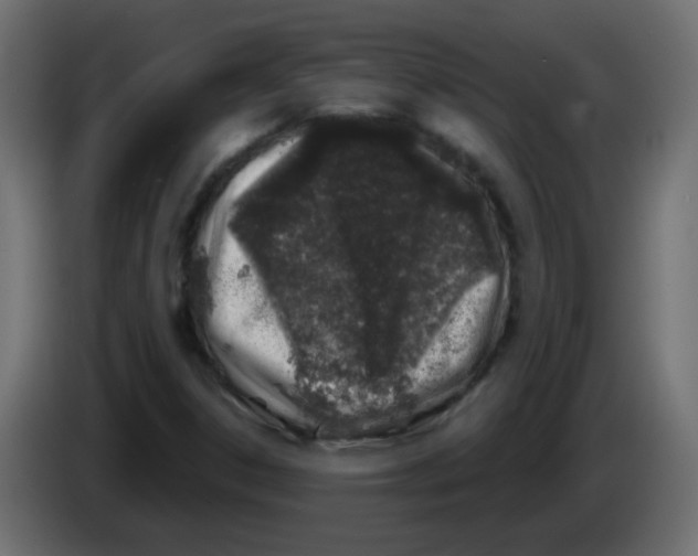 X0000083021306200703021954
