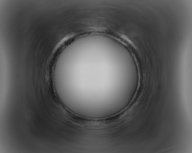 X0000083021307200703021954