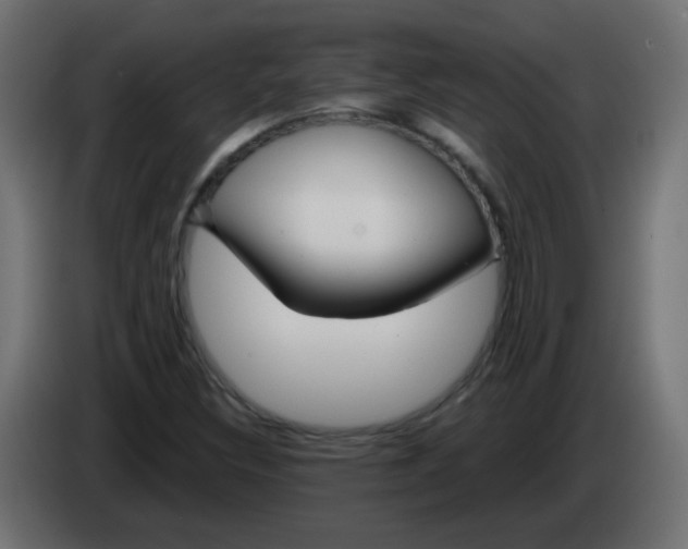 X0000083021308200703021954
