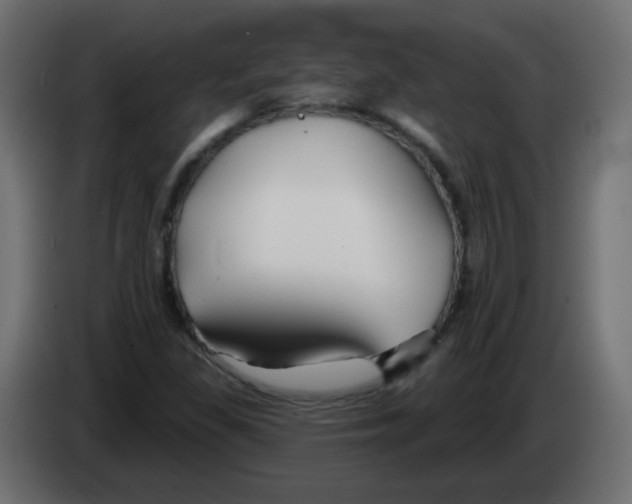 X0000083021309200703021954
