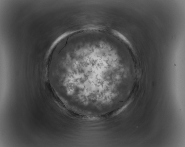 X0000083021310200703021954