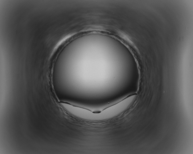 X0000083021312200703021954