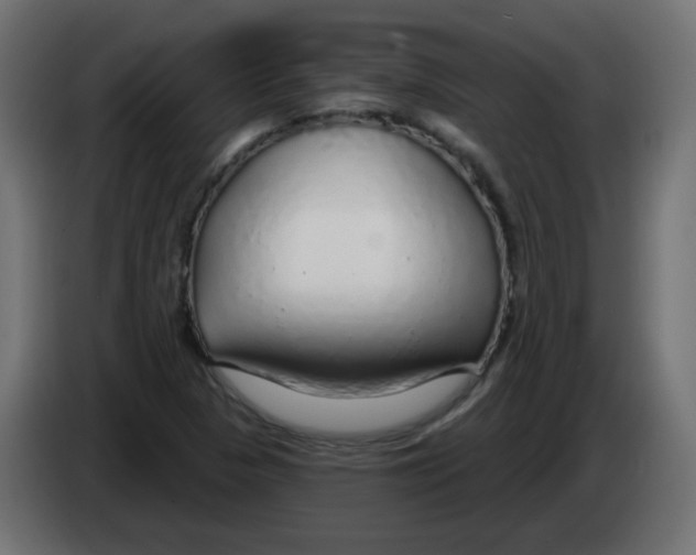 X0000083021313200703021954
