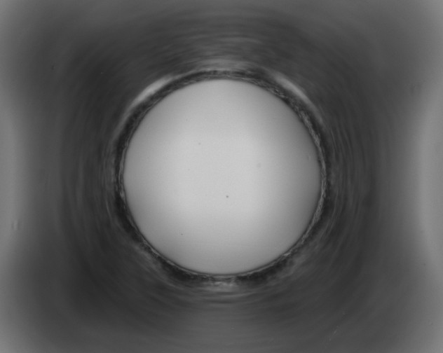 X0000083021315200703021954