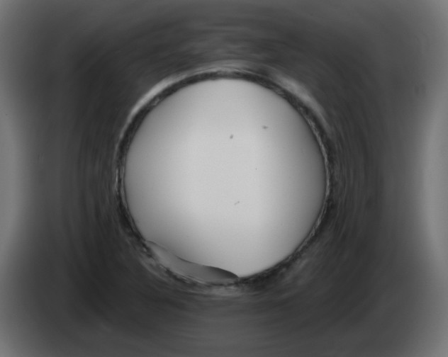 X0000083021316200703021954