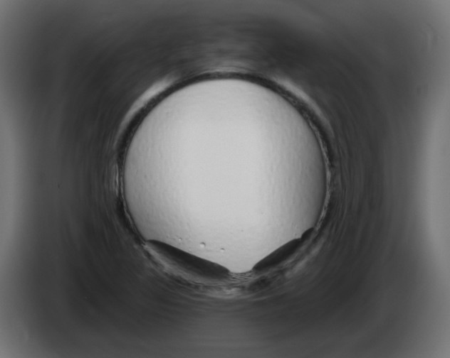 X0000083021317200703021954