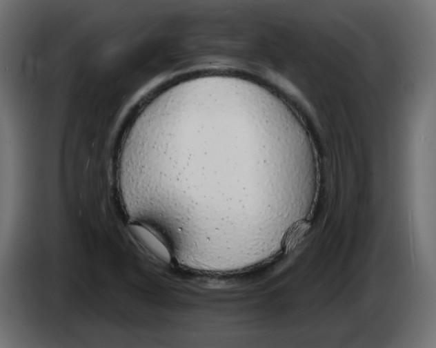 X0000083021318200703021954
