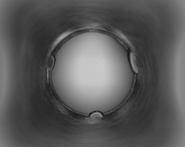 X0000083021320200703021954
