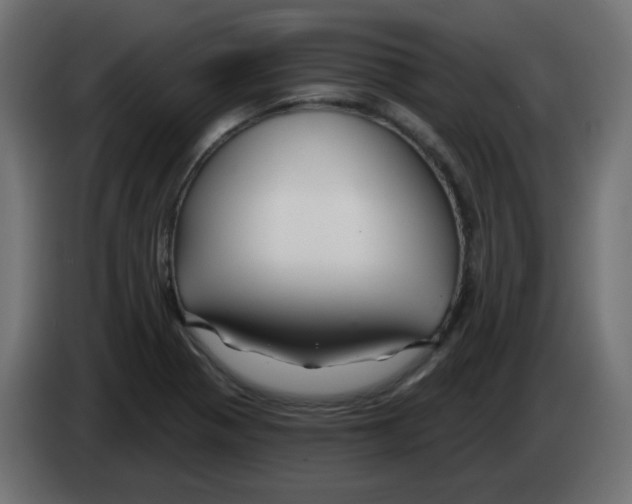 X0000083021321200703021954