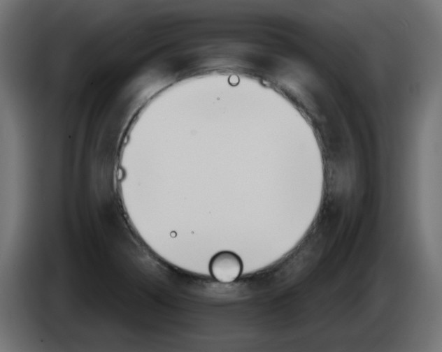 X0000083021322200703021954