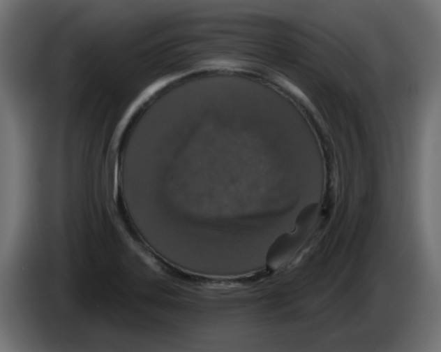X0000083021323200703021954