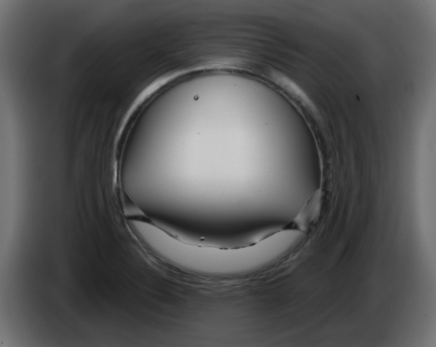 X0000083021324200703021954