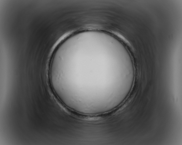 X0000083021325200703021954