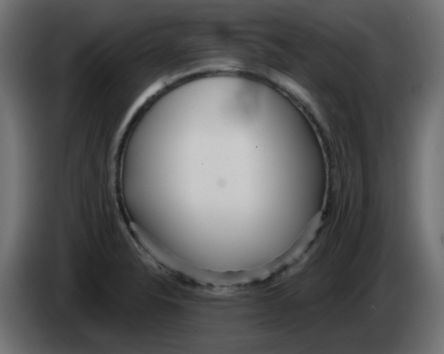 X0000083021326200703021954