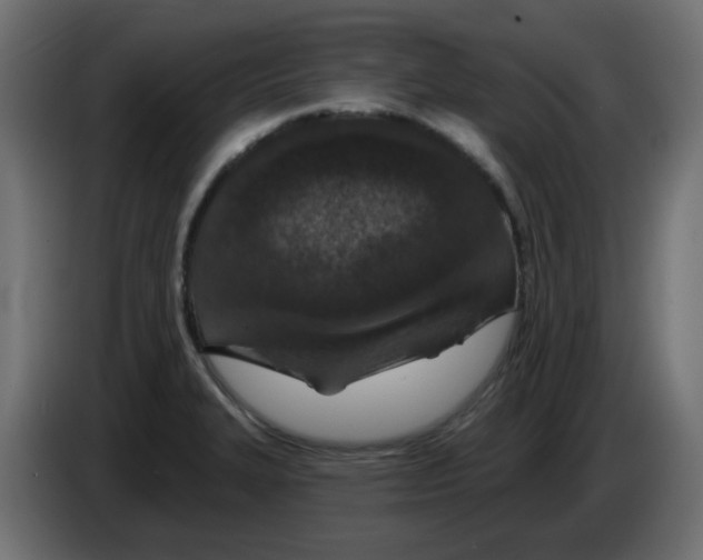 X0000083021327200703021954
